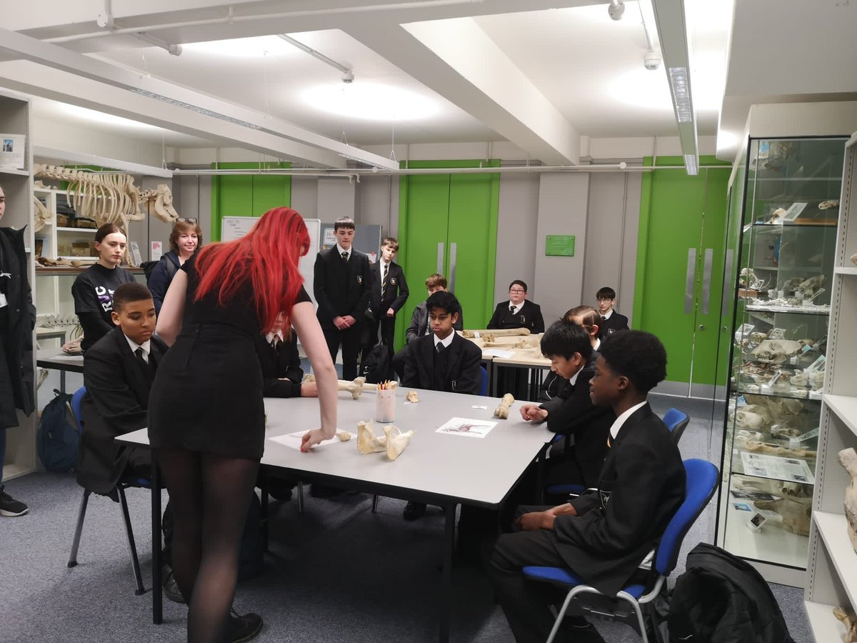 AimHigherLSouth's tweet image. What a fantastic visit @carshaltonboys are having at @RoyalVetCollege , touring the campus, attending a lecture, learning all about bones, unusual specimens and more at the number 1 university for veterinary medicine in the world! #UniConnect #veterinarymedicine #HigherEducation