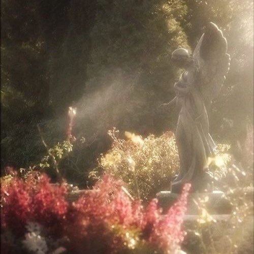 Ruesthetiic's tweet photo. — She is passion embodied, a flower of melodrama in eternal bloom. ♡ https://t.co/cnRCV7Eiqy