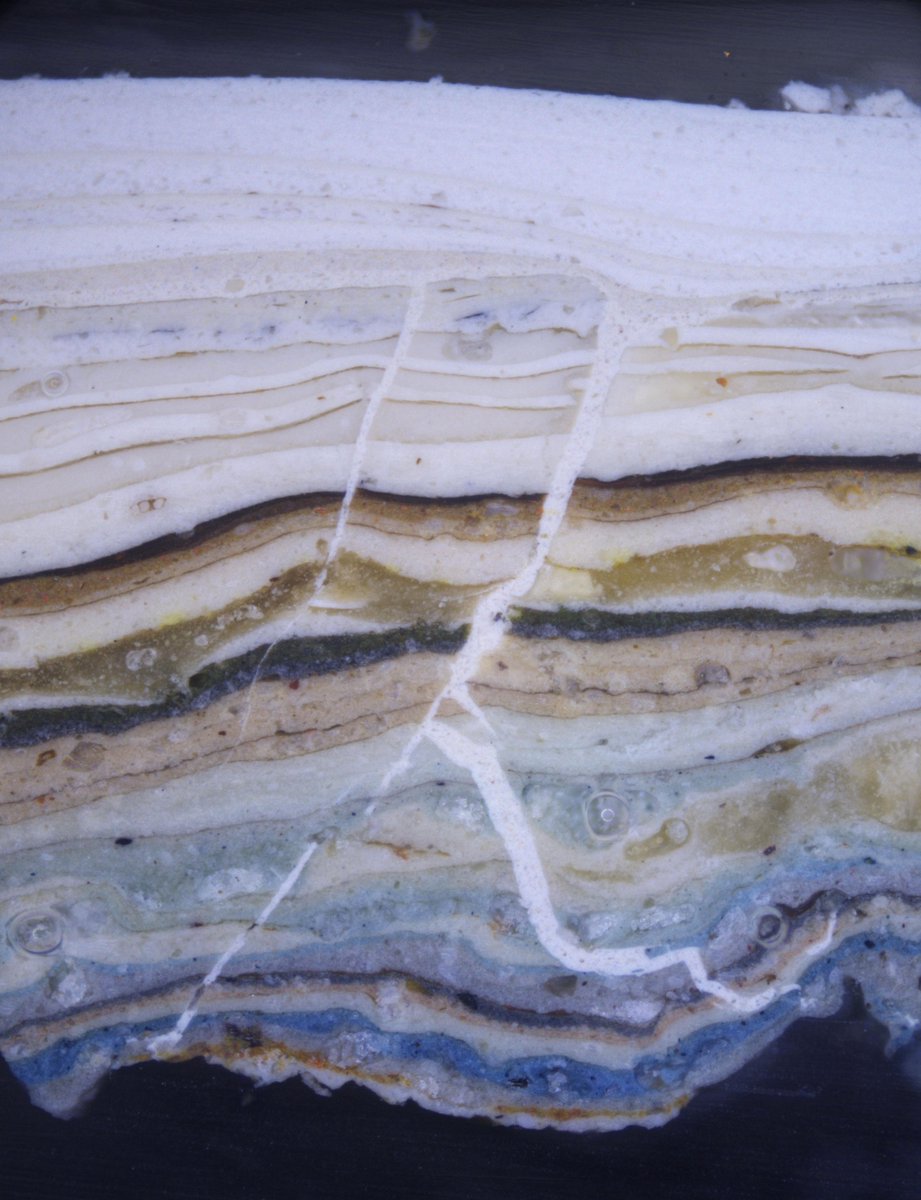 Hirst Conservation tweet media