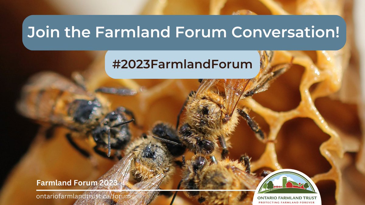 ONFarmlandTrust's tweet photo. Today’s the day, the 2023 Farmland Forum is here!
We can’t wait to dig into the theme, Planning to Save the Soil, with everyone attending today. 
Use#2023FarmlandForum to join the conversation!

#ontag #cdnag  #farmlandforever #2023farmlandforum #supportlocal #ruralontario https://t.co/gKhDQVUxwJ