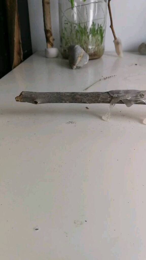 hauering tweet media