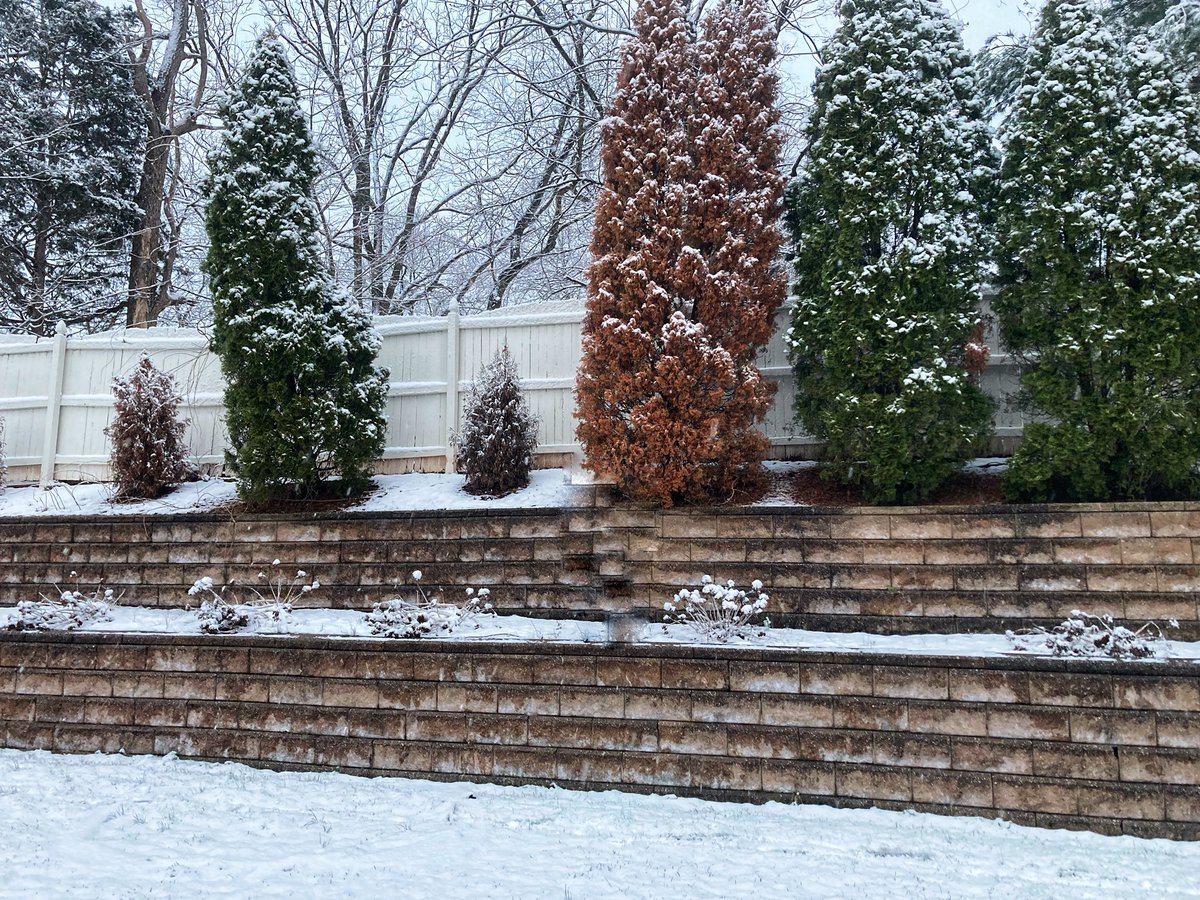 Mrs. Matrale views in Florida vs. Mrs. Owsiany views in NJ. Which is your favorite? ☀️🌴❄️⛄️ <a href="/DorMatrale/">dorothy matrale</a> <a href="/OB23DisneyTrip/">OB23DisneyTrip</a>