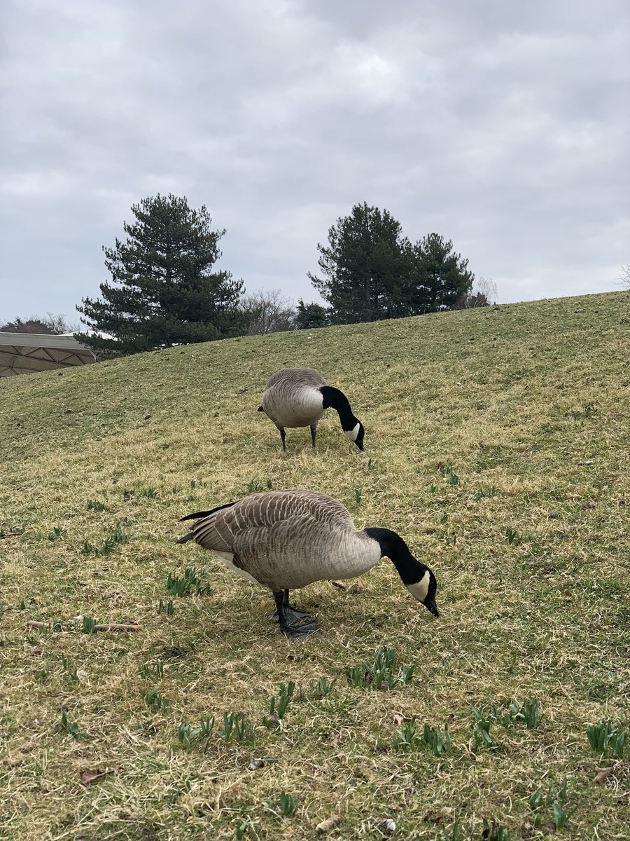 Aujourd’hui on parle du #digital de demain en physique! Ensemble pour le <a href="/orange/">Orange</a> Leaders meeting on prépare l implementation de Lead the future ✨
Les backstages nous montrent qu il n y a pas que chez Orange que l on joue collectif 😉