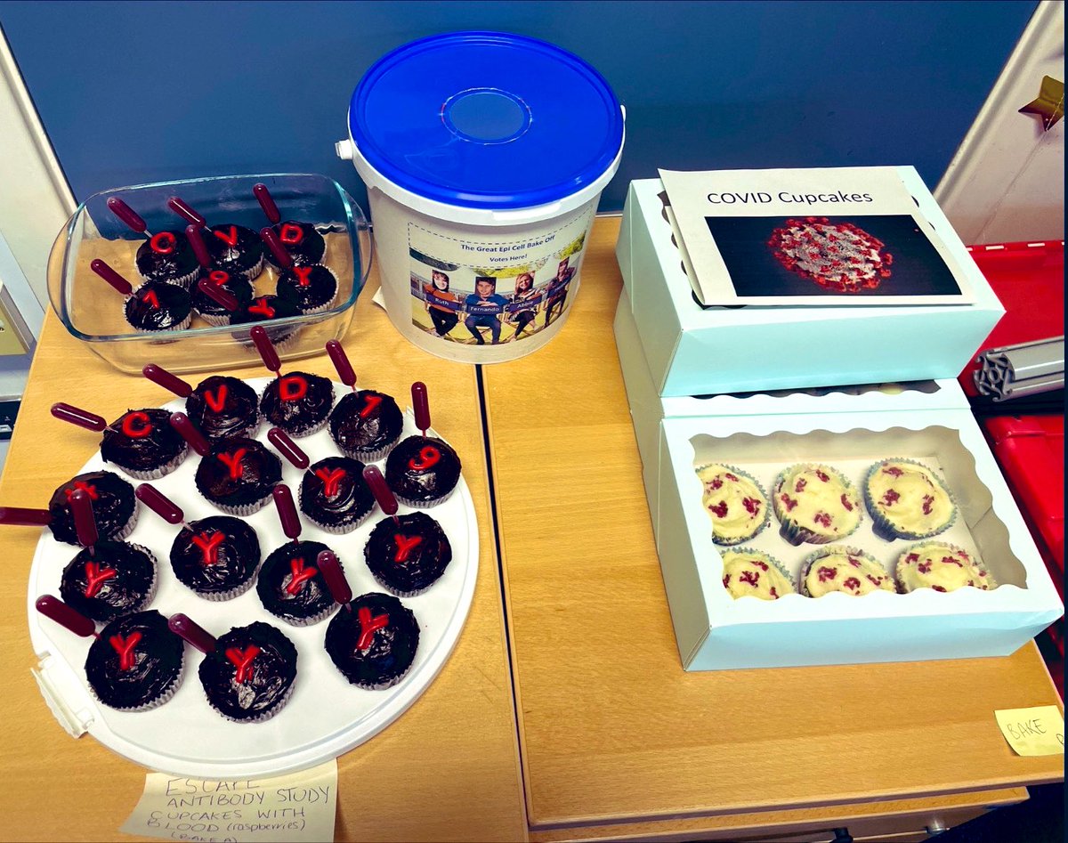 kallmemeg's tweet photo. Today’s Bake Off theme: COVID-19 🧁 

• antibody cupcakes with raspberry ‘blood’ pipettes 
• virus cupcakes with raspberry spikes https://t.co/qFiMUqzHZZ