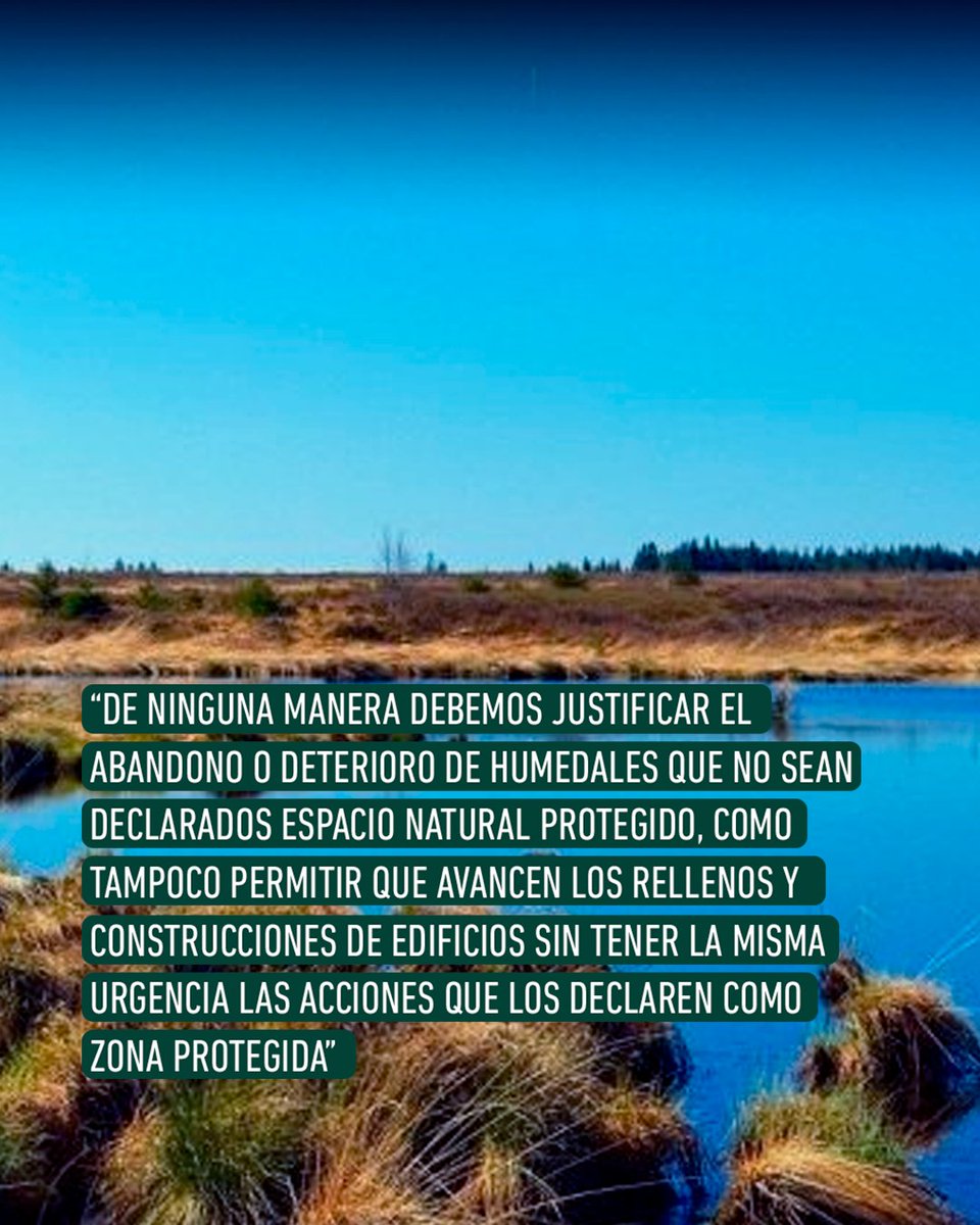 Sandra Nicovani, Directora de Ciencias Básicas UST Concepción, nos invita a reflexionar sobre  la importancia de los humedales, junto con hacer un llamado a la acción urgente a entidades tanto privadas como públicas: bit.ly/3IATB9J ⬅️.
