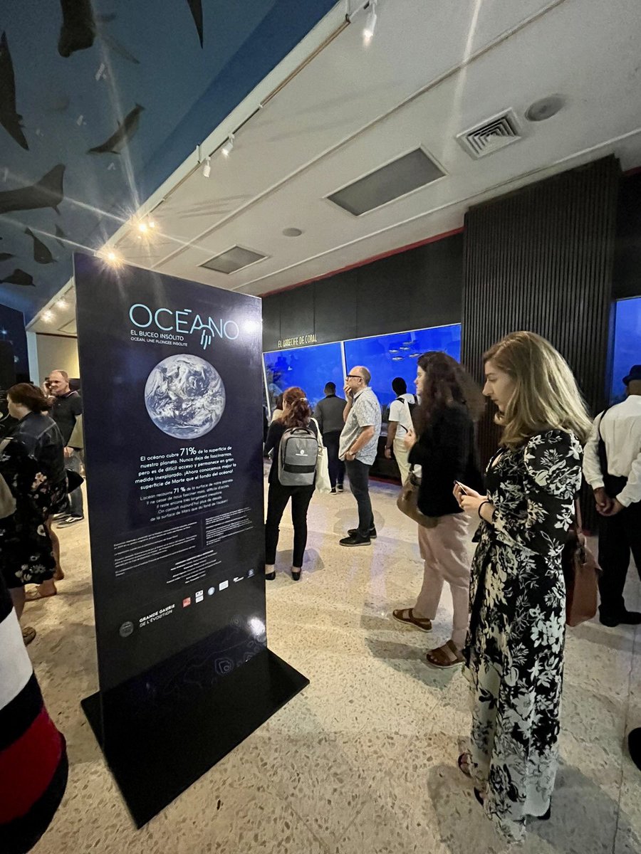 AndradePat12's tweet photo. Un placer explorar la exposición fotográfica #Océano, el buceo insólito, organizada por @FranciaRepDom, y apoyar esta inspiradora iniciativa. @AFD_es promoviendo la ciencia y la cultura, una exitosa alianza que funciona como vector de desarrollo y de sensibilización humana 🌊📸 https://t.co/q7fkA1Bn9e