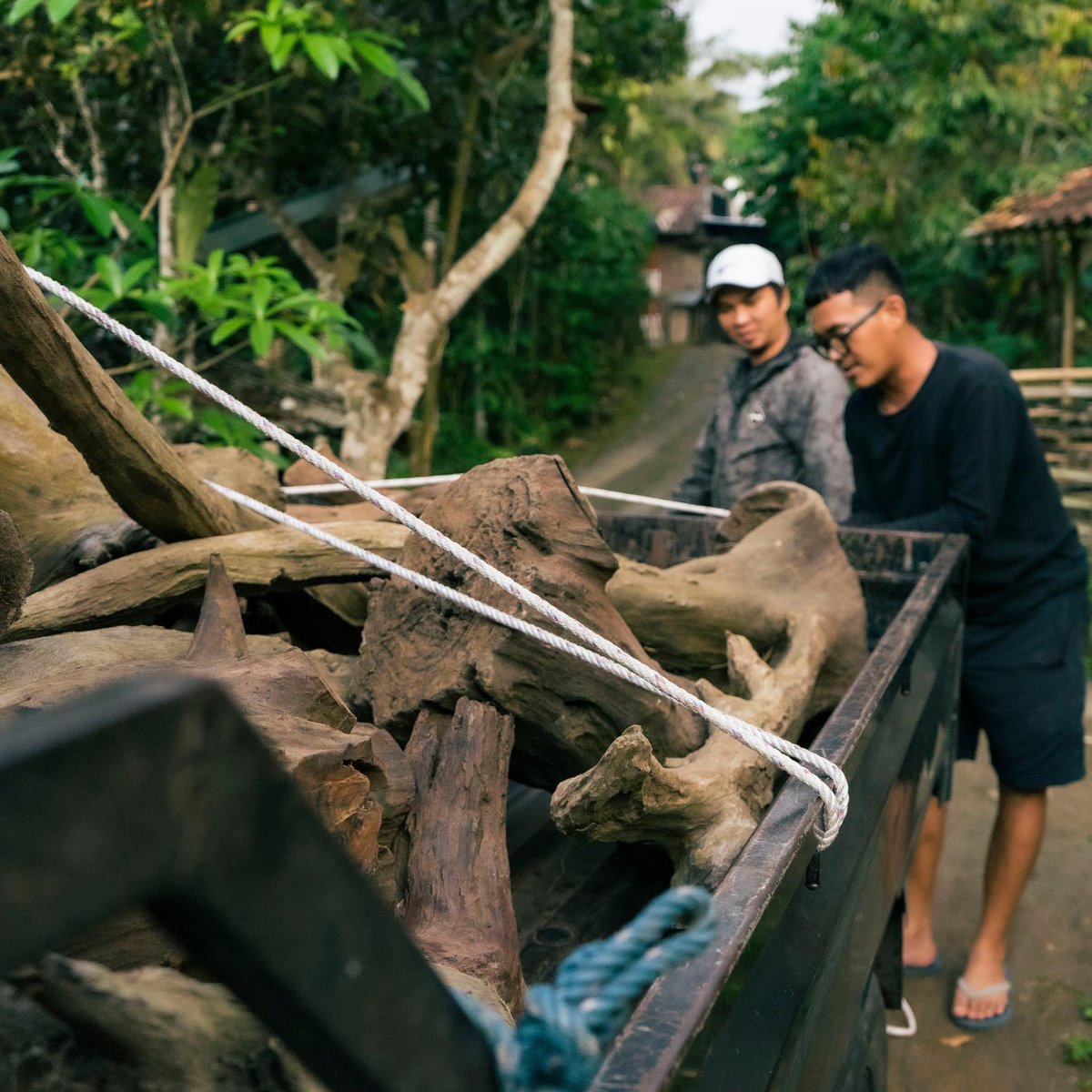 Seruniaudio's tweet photo. Akar kayu sonokeling yang menjadi material utama dari enclosure MKS-14 Special Edition, kami kumpulkan secara kolektif dari berbagai daerah yang ada di Yogyakarta dan sekitarnya… https://t.co/hFoqudt7R8