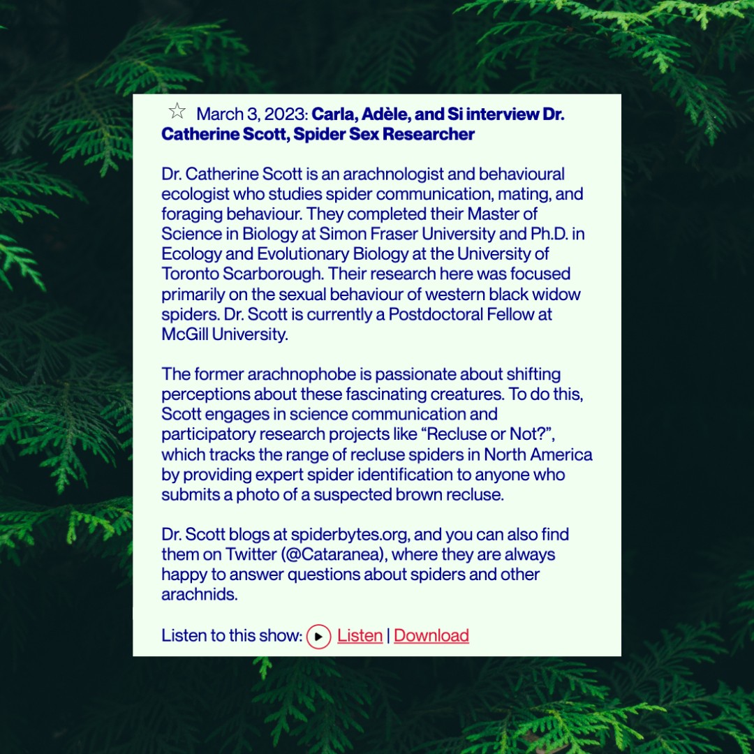 bugsexthedoc's tweet image. On March 3rd,  Montreal-based @ckut 90.3 FM Radio interviewed Dr. Catherine Scott about spiders, turning fear on its head, and Bug Sex.

Let's talk about it.

Download or Listen here: ckut.ca/playlists/show…

#CKUT #Radio #Interview #BugSex #Documentary #Film