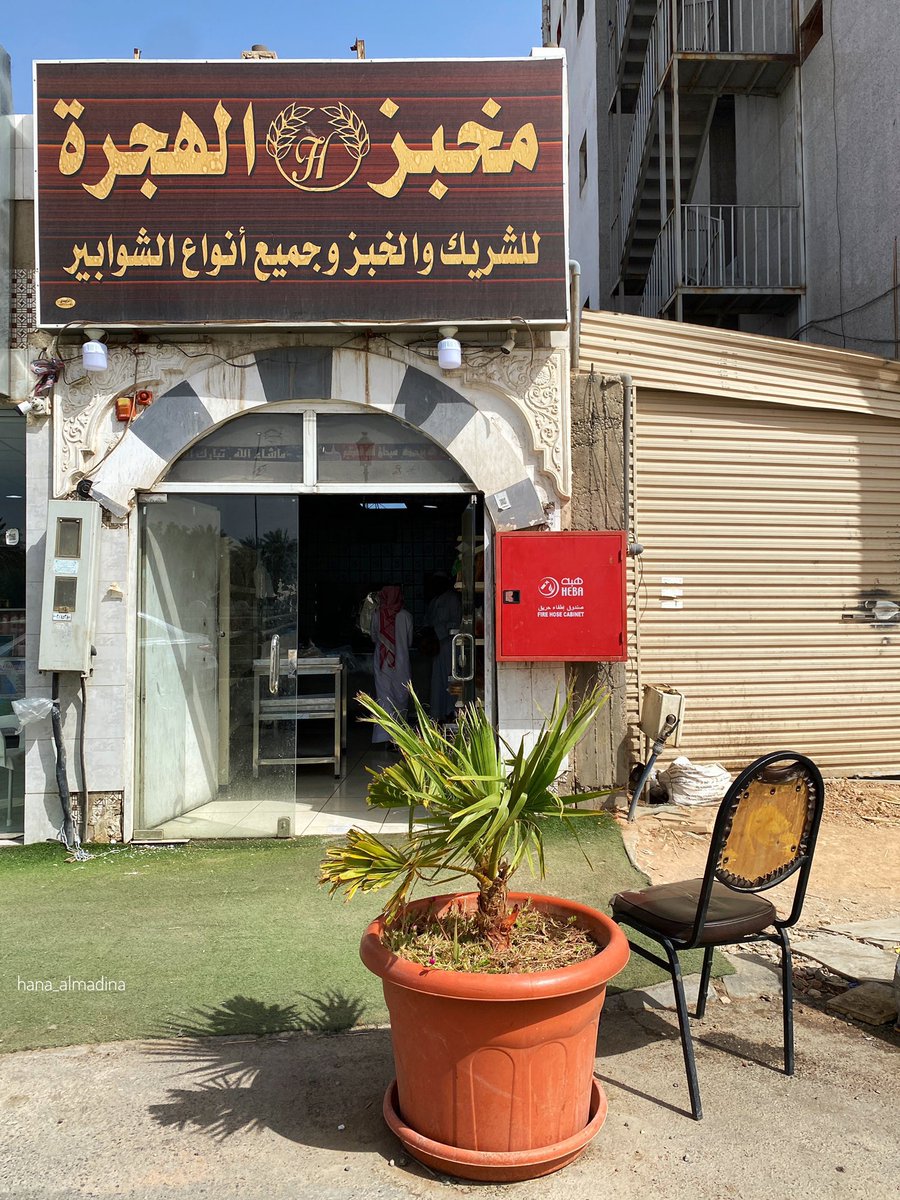 هناء المدينة tweet media