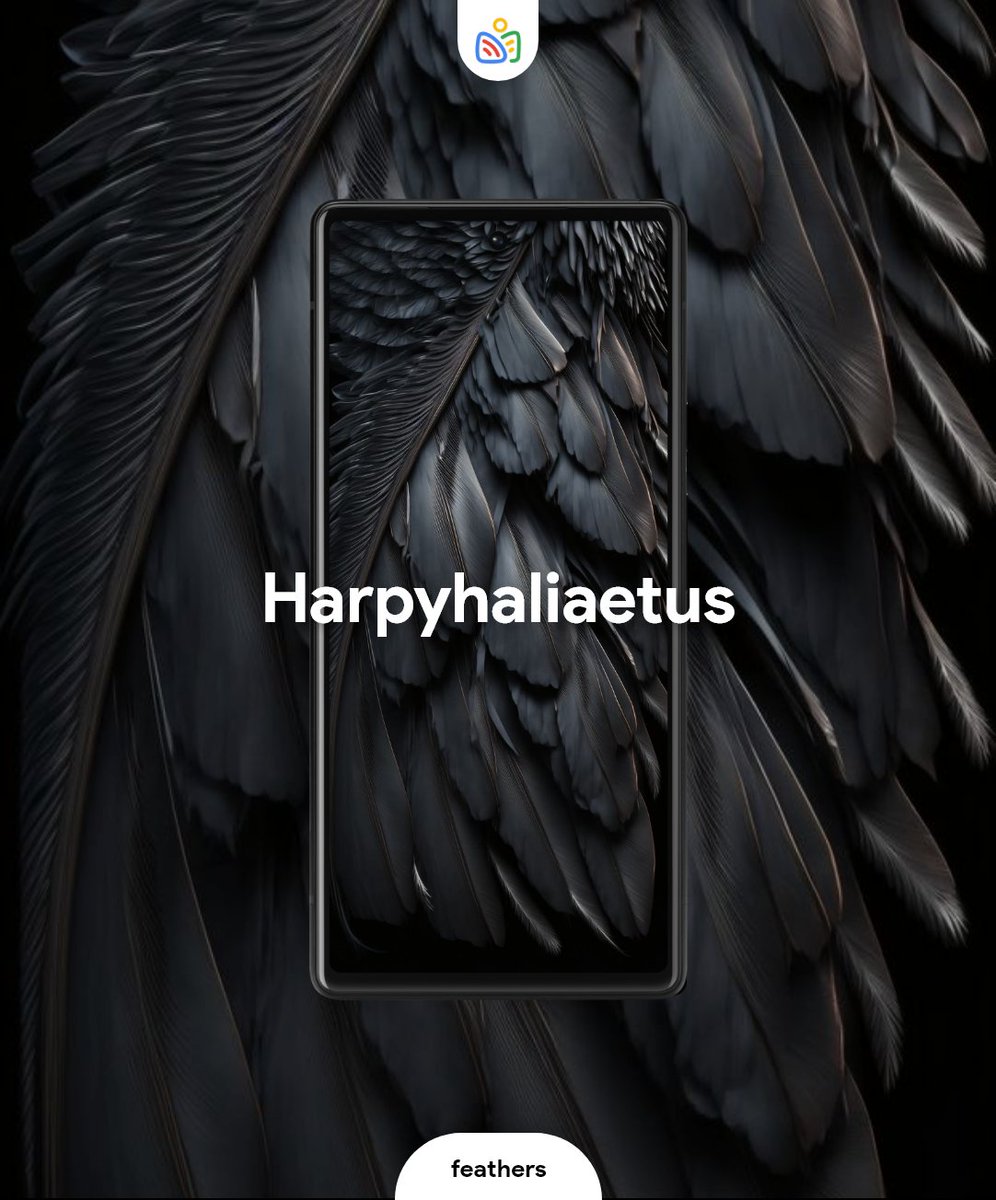 amaancg's tweet photo. We Know you all love those stock PIXEL FEATHER WALLPAPERS๐๐
So we got you some more of them :)
Get them Here:
https://t.co/A8WSE6dVSK
#teampixel #pixelwallpapers #googlepixel #googlewallpapers #pixel7pro #pixel7pro #Pixel7a #pixelpepes #pixel6 https://t.co/z7gO2DD9gN