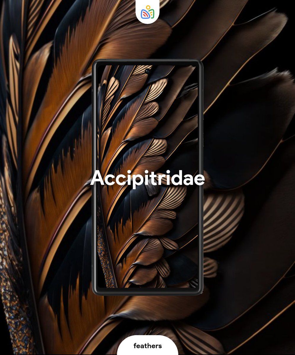 amaancg's tweet photo. We Know you all love those stock PIXEL FEATHER WALLPAPERS๐๐
So we got you some more of them :)
Get them Here:
https://t.co/A8WSE6dVSK
#teampixel #pixelwallpapers #googlepixel #googlewallpapers #pixel7pro #pixel7pro #Pixel7a #pixelpepes #pixel6 https://t.co/z7gO2DD9gN