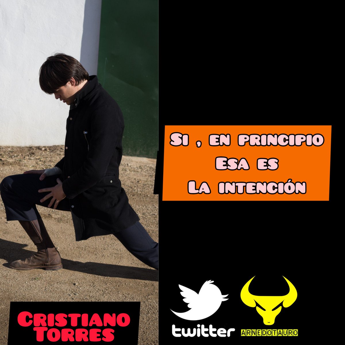ArnedoTauro tweet media