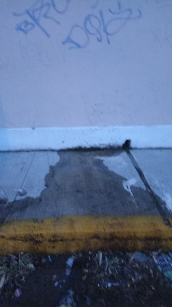 Todos los días es lo mismo en esta casa. Tamuin esquina con Zaachila en la colonia Bello Horizonte <a href="/AguadePuebla/">Agua de Puebla</a> <a href="/RedLopezDiaz/">Javier López Díaz Personal</a> <a href="/laredcincoradio/">Cinco Radio Oficial</a> dejan a la colonia sin agua y hay que comprar pipas <a href="/PueblaAyto/">Puebla Gobierno de la Ciudad</a> <a href="/_Cuautlancingo_/">Ayto. Cuautlancingo</a>