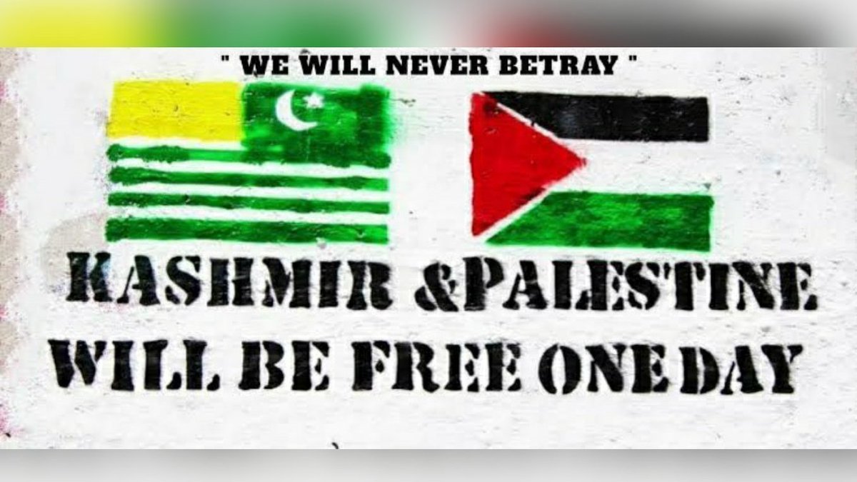 ahm3d711's tweet image. From Kashmir to Palestine occupation is a crime