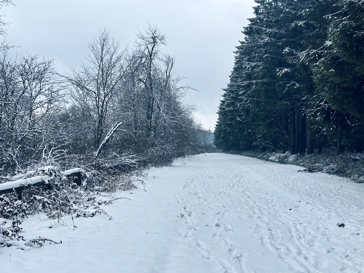 wxwommelgem's tweet photo. Botrange om 14:15 ❄️ #vrtweer #sneeuw #ardennen #hogevenen #winter #botrange https://t.co/qztYySDXvv