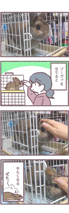 ウサギ4コマ #うさぎ作品展inTwitter 
