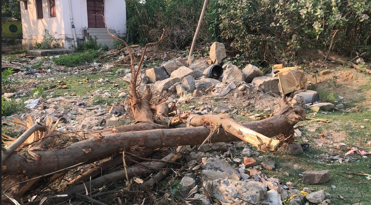 MDILIPK17528927's tweet photo. City High school ground road, berhampur. Around 20 young trees were taken down for construction of drainage and 10 more trees to be fallen. Respected @BrahmapurCorp @Ganjam_Admin @CMOdisha @ForestDeptt please don't forget sustainable development measures https://t.co/rB4bs5uVgn