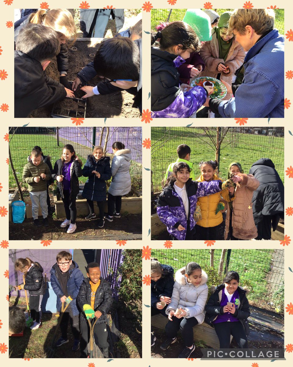 Year 4 have had a brilliant morning preparing the school allotment and planting some vegetables!