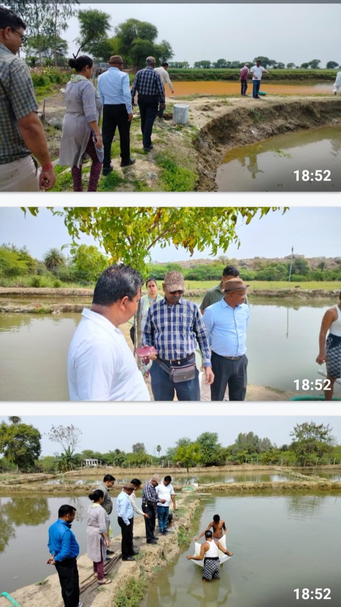 झाँसी/चित्रकूटधाम मण्डल मे दो दिवसीय दौरे पर विश्व बैंक की टीम मत्स्य विभाग संचालत योजनाओं का निरीक्षण किया जिसमे जनपद बांदा और आज जनपद झाँसी  मे मत्स्य  चेतना एवं प्रशिक्षण केंद्र, झाँसी में विश्व बैंक की टीम द्वाराआर०ए०एस्० , मत्स्य बीज उत्पादन केन्द्र का निरीक्षण कियां