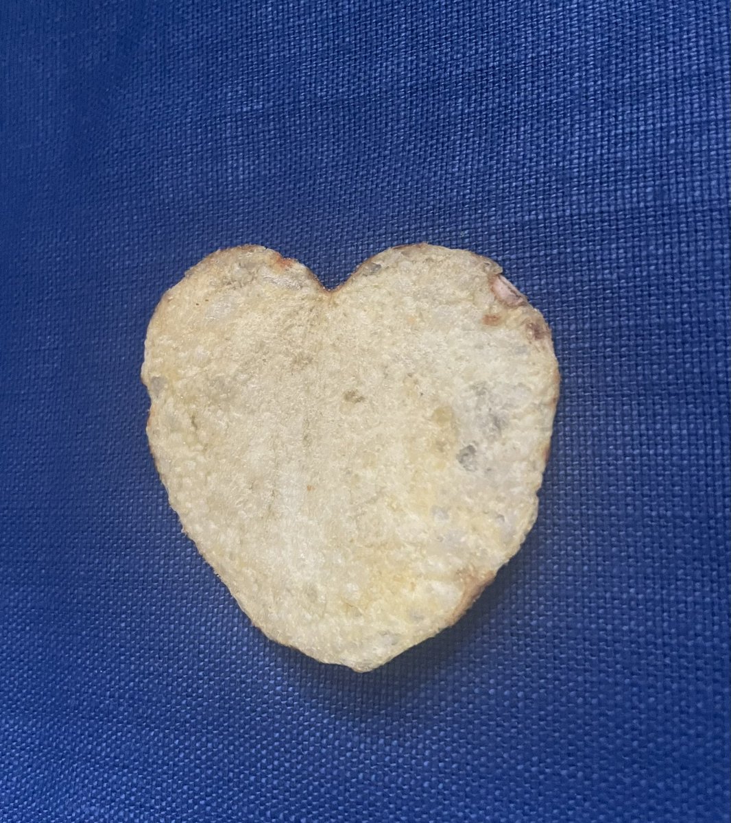ClermontDaisy's tweet photo. #LoveFromWalkers https://t.co/AAXLa01ia8
