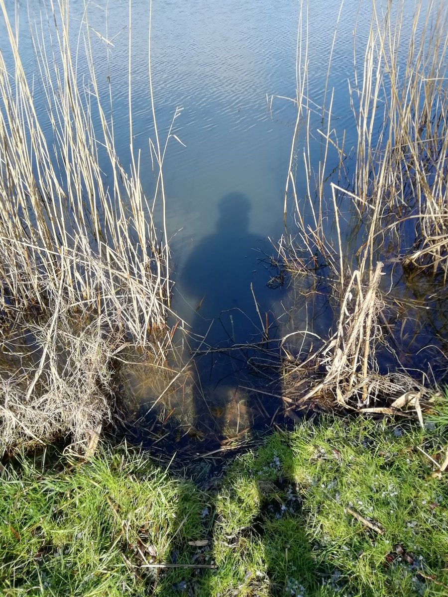 De Suikerzijde en ik vanmiddag.