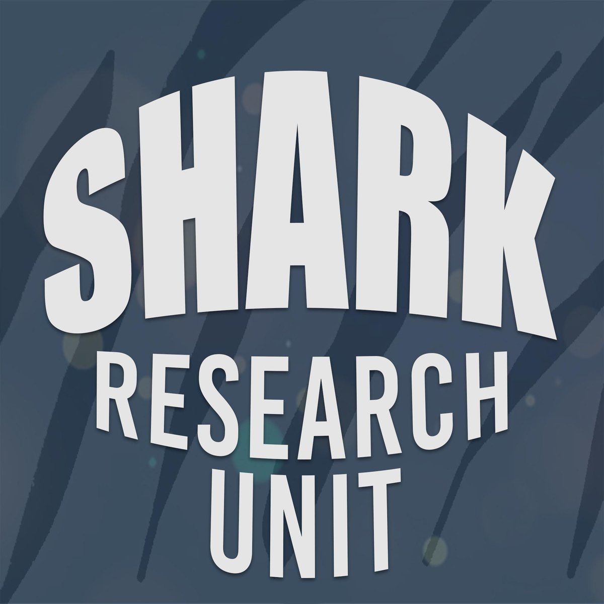@SophuQoma is a marine biologist and a director of @TheSharkResearchUnit in Mossel Bay. She's a shining beacon in the future of South African marine biology. 
Find Sophu here
 loom.ly/Q6T6BN0

#women #livingthedream #ocean #girlpower  #marinelife #womenshistorymonth