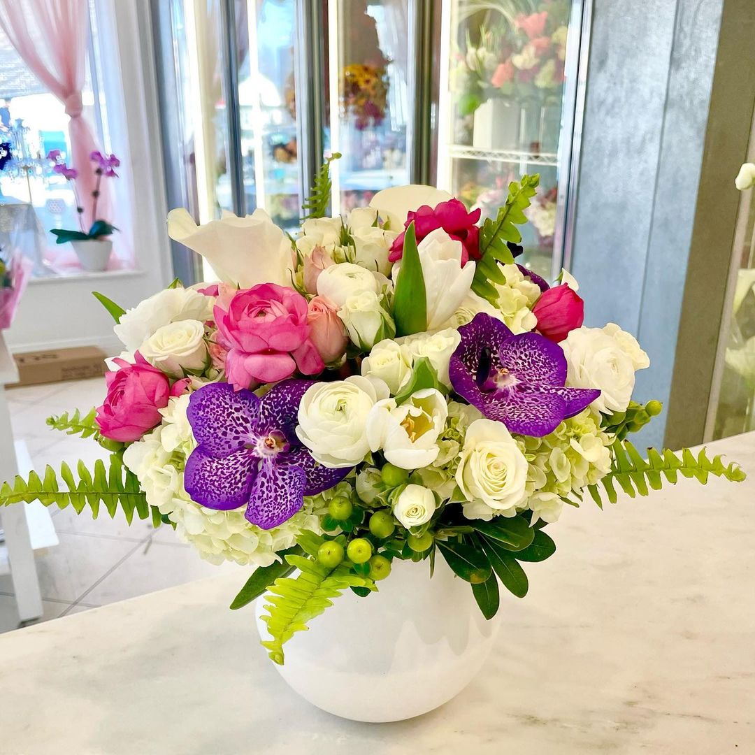 BloomNation tweet media