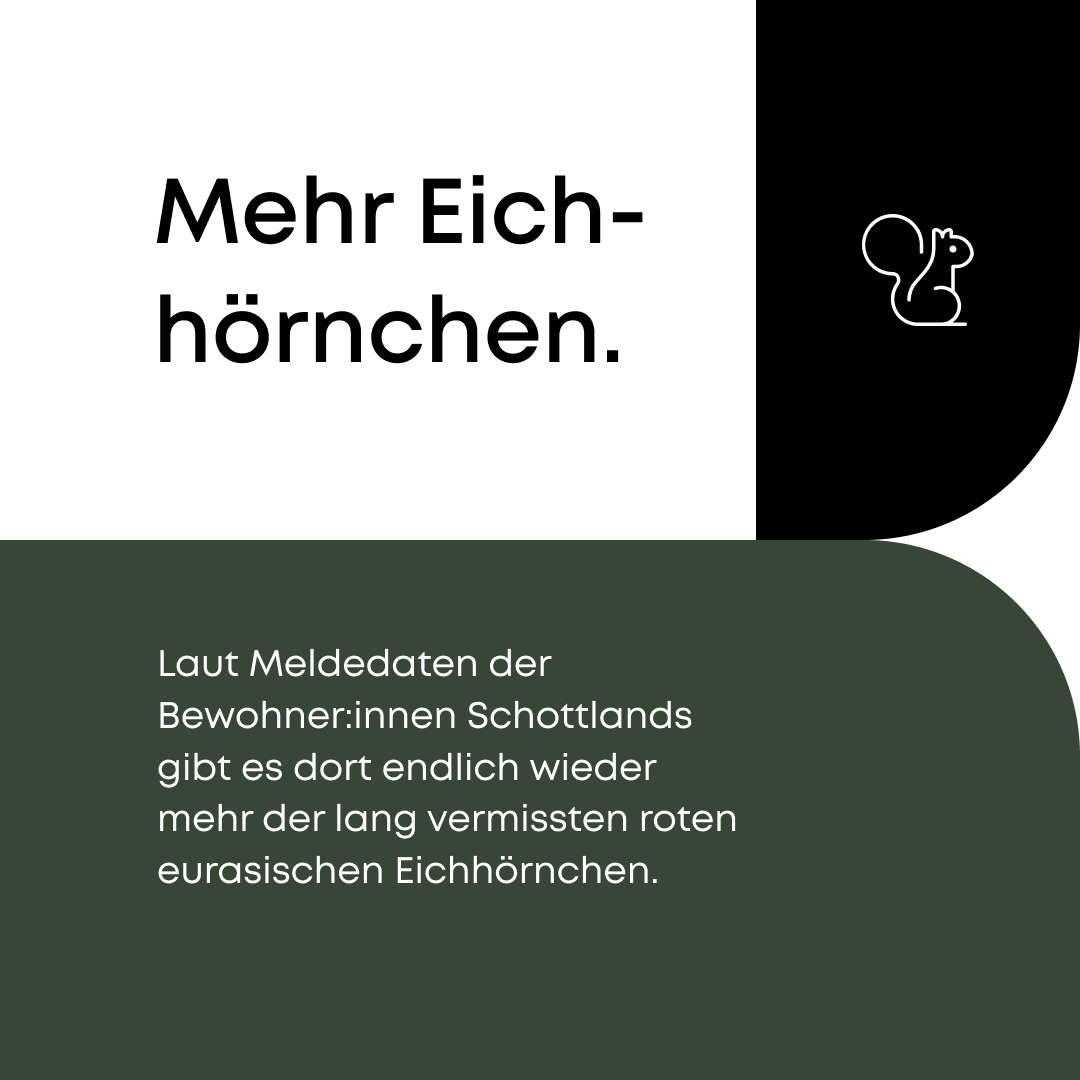 Wir haben Gute Nachrichten für dich – Gute #Klima Nachrichten. 

Eine Handvoll positive #Neuigkeiten können ganz schön viel mit unserer Motivation machen. Das gilt vor allem beim #Klimaschutz. Wir sagen ganz klar: Weiter so! 

#artenschutz #nachhaltigkeit #artenvielfalt