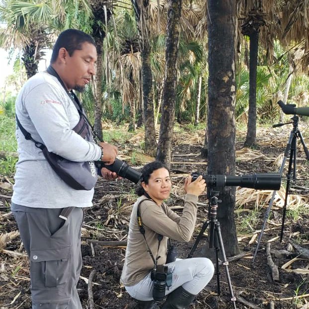 One of our last birding experience looking for beautiful birds #birding #birdwatching #holbox #birdwatchingexperience