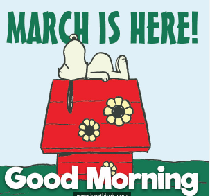 Vercon-Player tweet media