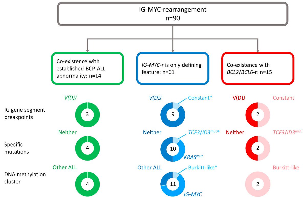 leukaemielabor's tweet photo. 📄Integrated #multiomics analysis of 90 #BCPALL cases reveals that surface immunoglobulin-negative BCP-ALL with IG-MYC-r are a high-risk subgroup of BCP-ALL and patients should be given access to contemporary, risk-stratified, response-adapted therapy https://t.co/dopuqXbR8b https://t.co/oXczYSTsiU