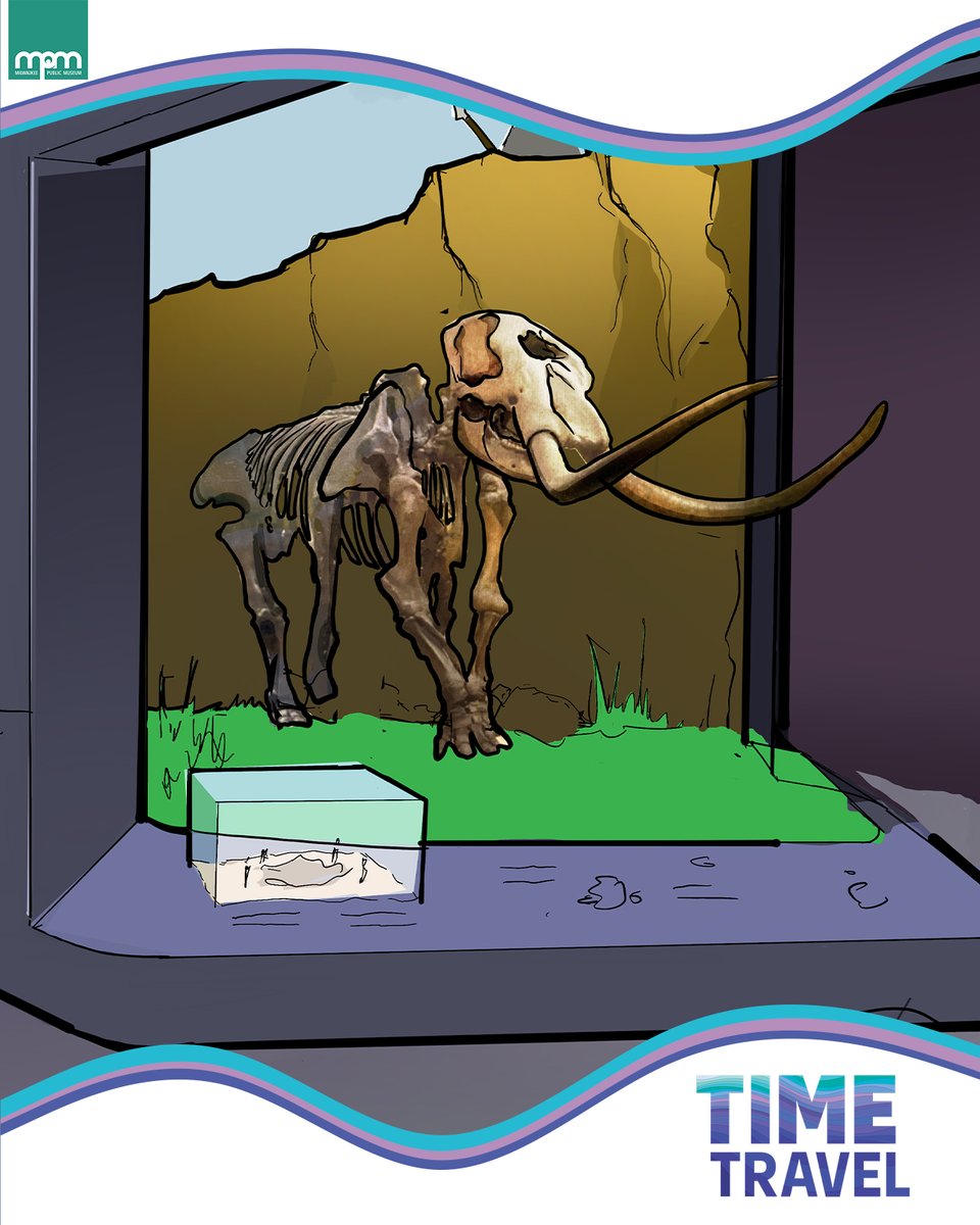 MKEPublicMuseum's tweet photo. Time Travel–one of five permanent exhibit galleries in the Future Museum–takes visitors on a journey to the deep past, from the first evidence of life on Earth to when dinosaurs dominated to the evolution of early mammals and the arrival of humans. https://t.co/vAJt1Seyr5 https://t.co/RbgbKiaHRh