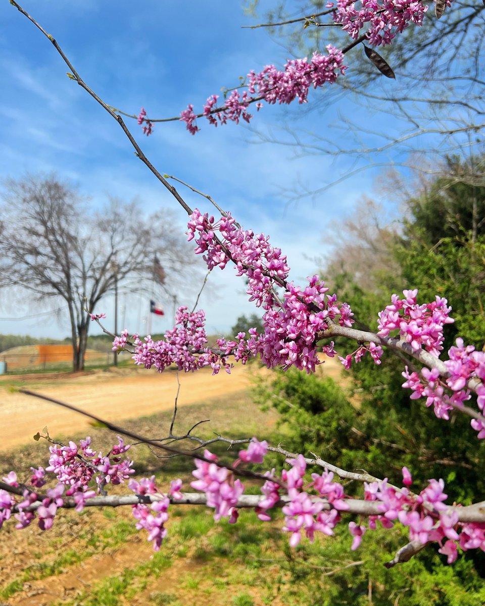 swanmx's tweet photo. It’s looks like spring is right around the corner 🌱🌸

Make plans to be at our season opening races on April 22-23 and April 28-29-30! https://t.co/Ed9kMm9erC