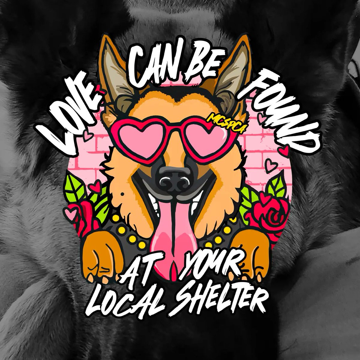 RocknRobynn_'s tweet photo. Honored to design the Spring Fundraising Campaign for @TheMCSPCA 

Thanks to 2 of my best pals for the inspo behind my work 🩷✨️

#AdoptDontShop #TheMCSPCA 
#DigitalArt #DogsOfTwitter
#SupportLocal 🐶🥰 https://t.co/lDvqQm44T8