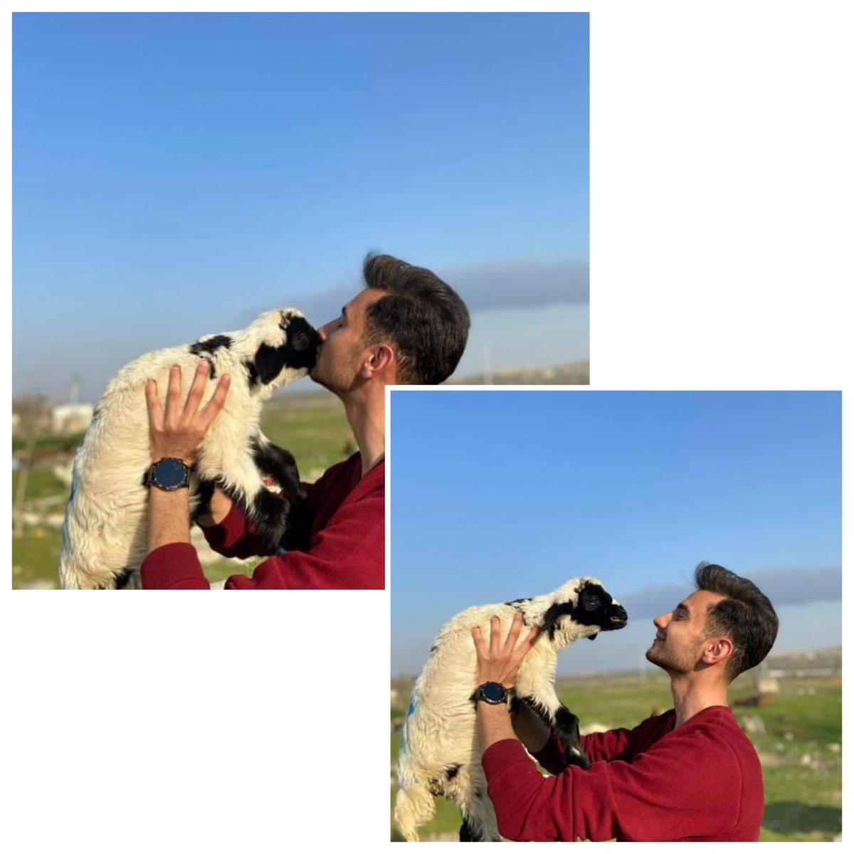 sevmutluol's tweet photo. Fotoğraflar için teşekkür ederiz 😊🥰🤗

Fotoğraf sahibi : bennkutayy 

#satinalmasahiplen #hayvanlarisevmutluol #hayvanlar #animals https://t.co/U8j29m5ku7