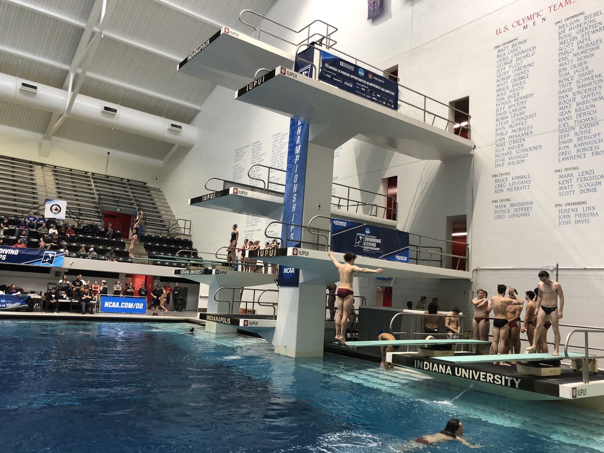 Busy day on the boards, as divers warm up for  @NCAADII #D2MSD & #D2WSD championship qualifying meet.