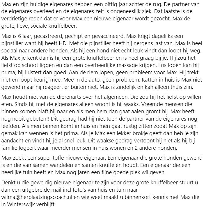 DeRavissante's tweet photo. Lieve, sociale, knuffelkont Max zoekt dito eigenaar. Top hond die een top eigenaar zoekt. 

RT = liefffffff. Dank namens Max ❤️❤️ https://t.co/cG4sy38gQm