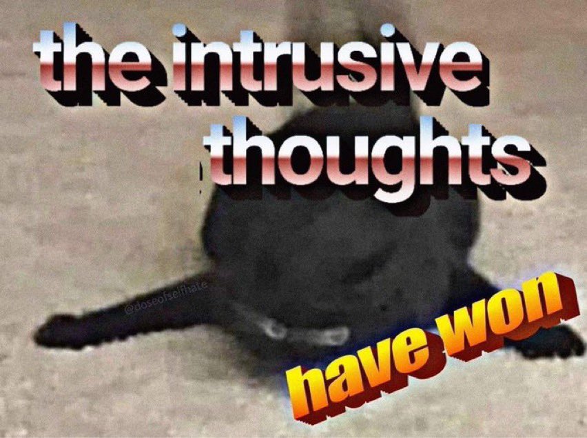 ღ 𝔼loise tweet media