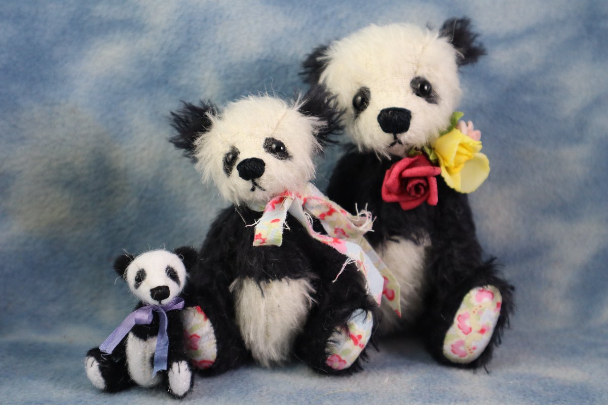 Katie Booth on Twitter "RT TheWordOfErynn This week's auctions will feature this little group