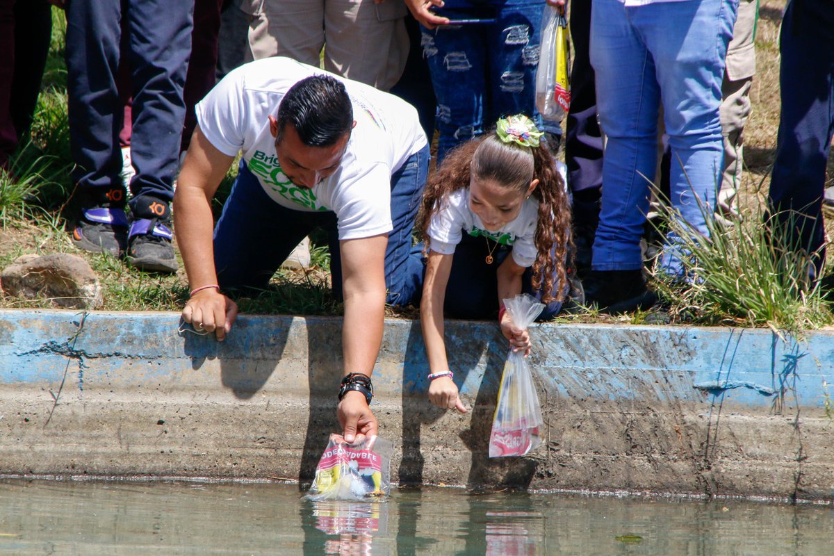 Acompañados del Min. de Ecosocialismo <a href="/JosueLorcaV/">Josué Lorca Vega</a>, la Min. de educación <a href="/_LaAvanzadora/">Yelitze Santaella</a> y la alcaldesa de Caracas <a href="/gestionperfecta/">Carmen Meléndez</a>.

Impulsando la Educación Ambiental.

<a href="/NicolasMaduro/">Nicolás Maduro</a> 
<a href="/delcyrodriguezv/">Delcy Rodríguez</a>