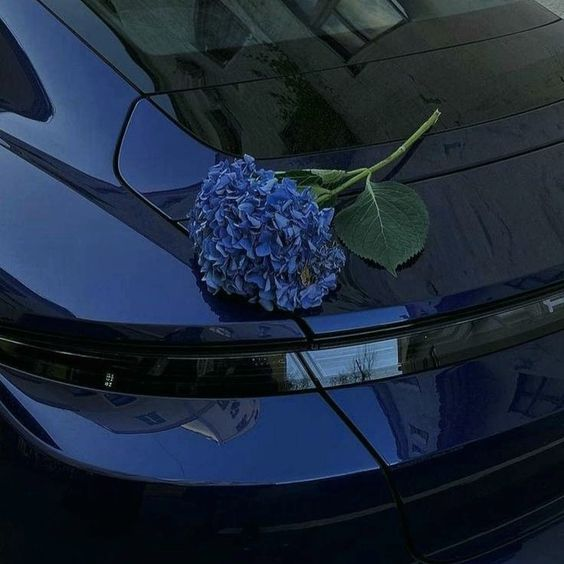 โอปป้าร่างออนนี่ tweet media