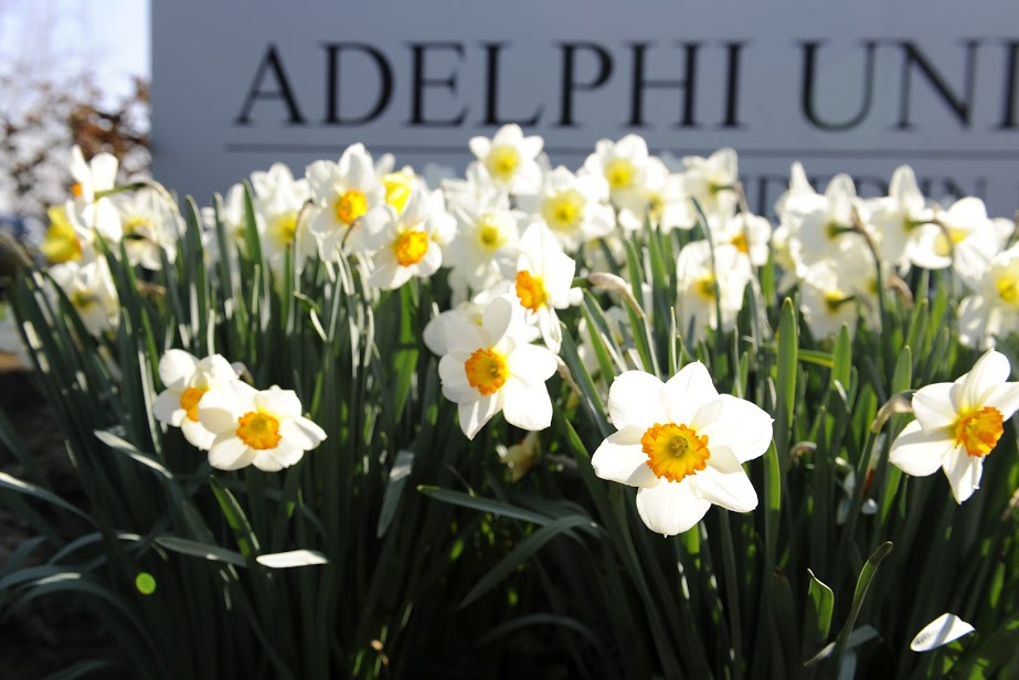 AdelphiU's tweet image. Spring is right around the corner! What is your favorite part about #SpringAtAdelphi? 🌸