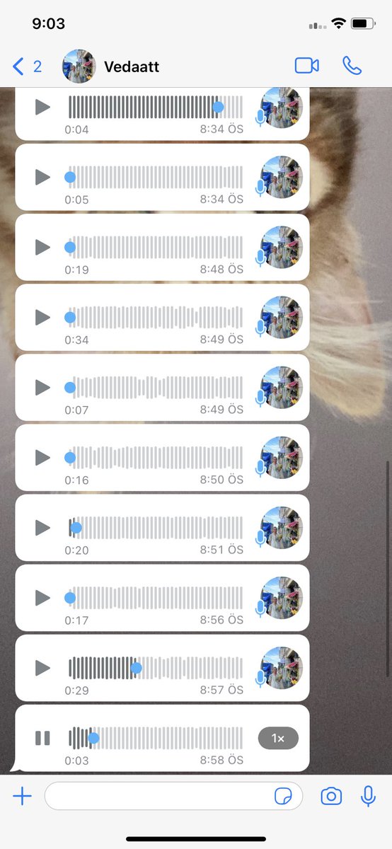 Umarım devlet sırrını açıklamışsındır