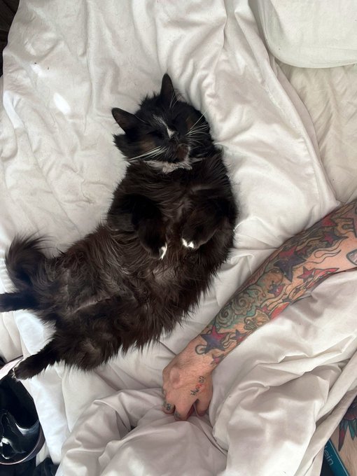 He&rsquo;s flying 🥰 https://t.co/5ERn3nFcRs<a href="/tag/onlyfan"class="tags"><span>#onlyfan</span></a><a href="/tag/onlyfansgirl"class="tags"><span>#onlyfansgirl</span></a><a href="/tag/onlyfanspromo"class="tags"><span>#onlyfanspromo</span></a><a href="/tag/phprom"class="tags"><span>#phprom</span></a>