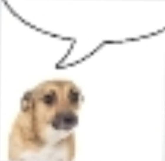 𝐒𝐩𝐞𝐧𝐜𝐞𝐫. tweet media