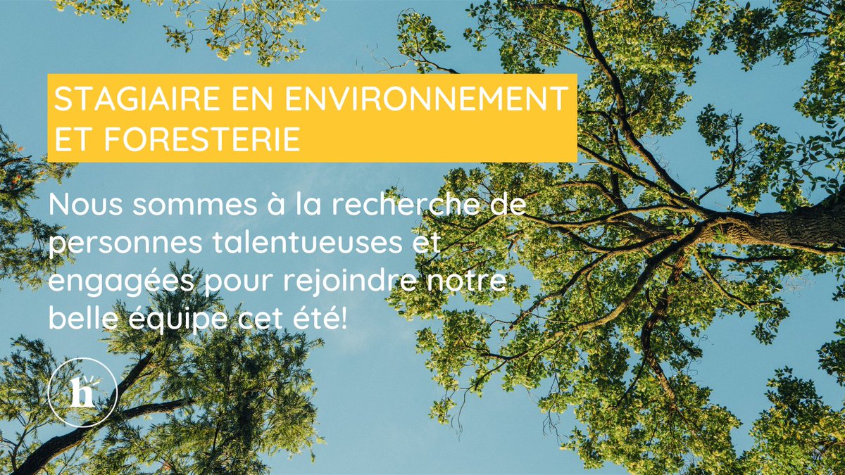 habitat_nat's tweet photo. Vous avez une bonne connaissance des essences d’arbres en milieu urbain? Nous sommes à la recherche d’une personne pour caractériser les forêts urbaines de plusieurs municipalités!🌳🙌

📅 STAGE D'ÉTÉ : 22 mai - 28 juillet

Pour en savoir + et postuler : https://t.co/1SNUAE6sUI https://t.co/yJyEqxtAmM