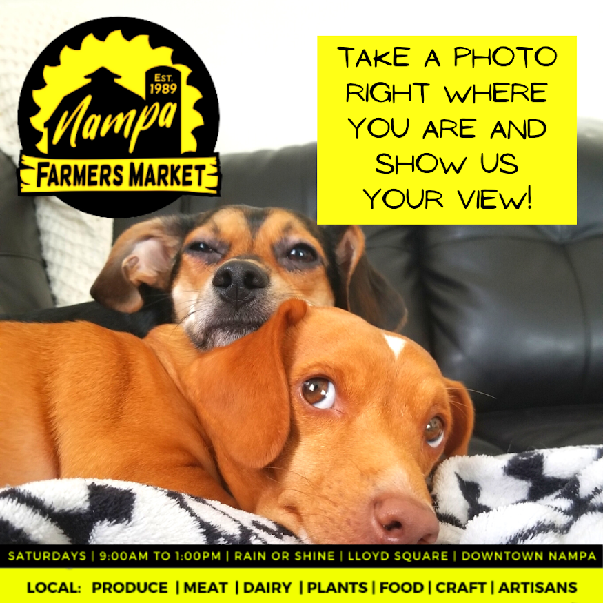 NampaFM's tweet photo. What's going on #TreasureValley? Anything cool you wanna show us? https://t.co/6YzkjMdWbM