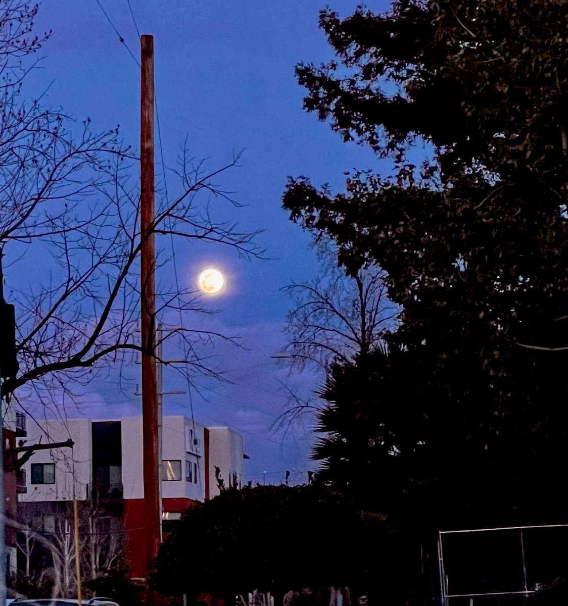 Whitneytai's tweet photo. A night of tracking vocals on one of the last &amp; more tender songs off the record. The moon was chilling, more luminous &amp; protective than her average glow. So much verve has built this album. Time, like water, neither cares about where or how but the ever-amassing, meaningful now. https://t.co/gvACVb3e9Y