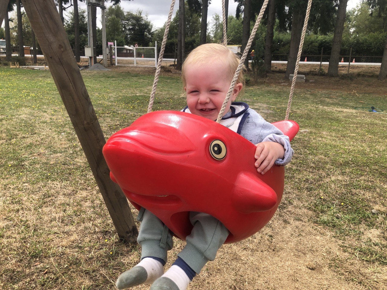 Whitney Webb on Twitter "Some days it's nice not be focused on the