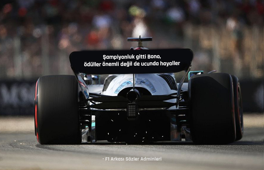 Bu sene de olmadı be Lewis... #F1